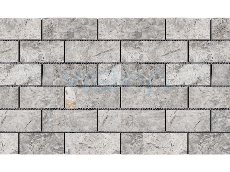 Tundra Grey Marble Paver